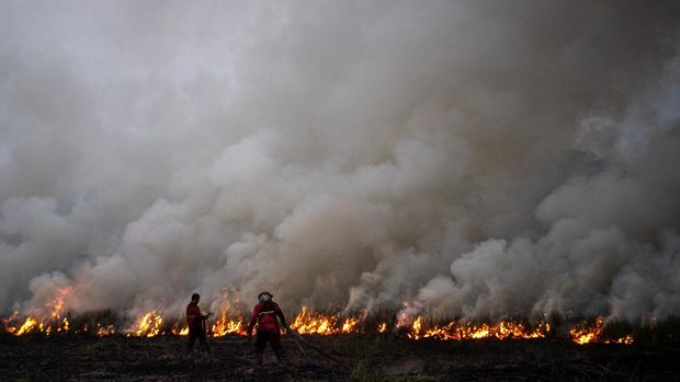 Petugas dari Manggala Agni Daops Banyuasin berupaya memadamkan kebakaran lahan di Desa Muara dua, Kecamatan Pemulutan, Kabupaten Ogan Ilir (OI), Sumatera Selatan, Kamis (21/9/2023). Berdasarkan data dari Balai Pengendalian Perubahan Iklim dan Kebakaran Hutan dan Lahan Wilayah Sumatera sepanjang Januari hingga Agustus 2023 luas kebakaran hutan dan lahan (Karhutla) di Sumatera Selatan mencapai 4.082,8 hektare yang terbagi menjadi 2,947,8 lahan mineral dan 1.135,0 lahan gambut. ANTARA FOTO/Nova Wahyudi/rwa.