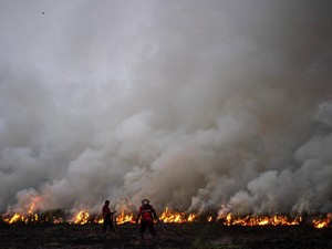 1.906 Hektare Lahan di Riau Terbakar, 34 Orang Jadi Tersangka