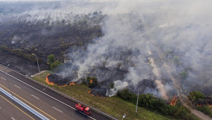 Pemadaman kebakaran lahan di Palem Raya Petugas dari Manggala Agni Daops Banyuasin berupaya memadamkan kebakaran lahan perkebunan kelapa sawit di sisi Jalan Tol Trans Sumatera (JTTS) ruas Palembang-Indralaya KM15 Palem Raya, Ogan Ilir (OI), Sumatera Selatan, Jumat (22/9/2023). Berdasarkan data dari satelit NASA-NOAA20 jumlah titik api di wilayah Indonesia sebanyak 3825 titik sedangkan di Provinsi Sumatera Selatan terdapat 167 titik pada Jumat (22/9). ANTARA FOTO/Nova Wahyudi/rwa.