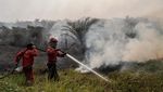 Giliran Perkebunan Sawit di Ogan Ilir yang Dilalap Api