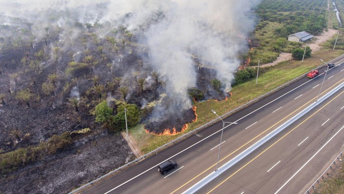 Pemadaman kebakaran lahan di Palem Raya Petugas dari Manggala Agni Daops Banyuasin berupaya memadamkan kebakaran lahan perkebunan kelapa sawit di sisi Jalan Tol Trans Sumatera (JTTS) ruas Palembang-Indralaya KM15 Palem Raya, Ogan Ilir (OI), Sumatera Selatan, Jumat (22/9/2023). Berdasarkan data dari satelit NASA-NOAA20 jumlah titik api di wilayah Indonesia sebanyak 3825 titik sedangkan di Provinsi Sumatera Selatan terdapat 167 titik pada Jumat (22/9). ANTARA FOTO/Nova Wahyudi/rwa.