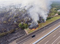 Bill Gates Sebut Indonesia & Malaysia Sumbang 1,4% Bahan Penghancur Bumi