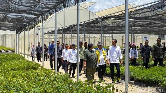 Presiden Joko Widodo (Jokowi) mengunjungi Persemaian Mentawir di Penajam Paser Utara, Kalimantan Timur (Kaltim).