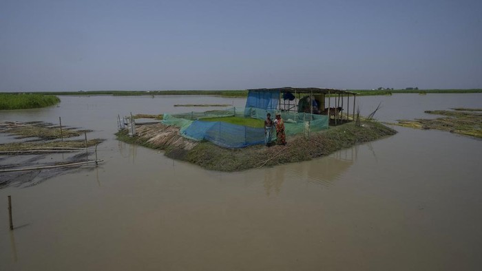 A flood victim sits on a submerged boat dock in Sandahkhaiti, a floating island village in the Brahmaputra River in Morigaon district, Assam, India, Wednesday, Aug. 30, 2023. (AP Photo/Anupam Nath)