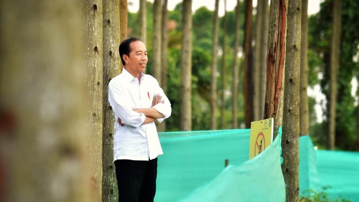 Presiden Jokowi di IKN (Agus Suparto/Fotografer Presiden Jokowi)