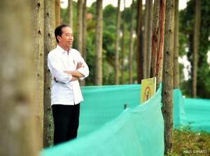 Jokowi Bakal Tidur di Istana IKN Saat Upacara 17 Agustus?