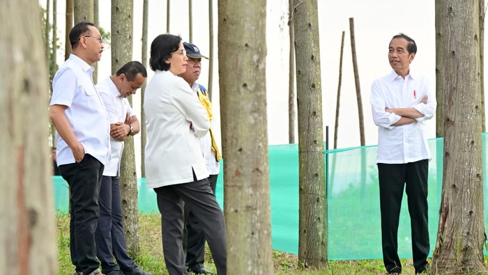 Presiden Jokowi di IKN ( Muchlis Jr/Biro Pers Sekretariat Presiden)