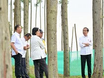 Cerita Menteri Jokowi Kemah di IKN Diiringi Suara Jangkrik