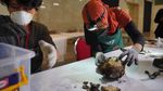 Potret Terkini Artefak Museum Nasional Usai Kebakaran