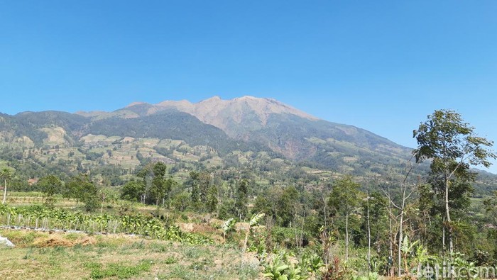 Titik api di Gunung Merbabu sudah padam, Jumat (22/9/023). Titik api berkobar sekitar 19 jam.