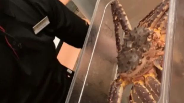 Turis Jepang marah ketika ditagih belasan juta saat makan di restoran
