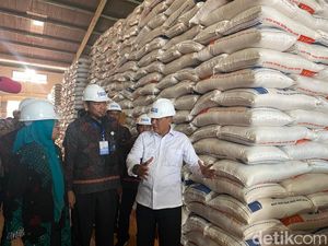 Bulog Akan Impor 1 Juta Ton Beras dari China Antisipasi Dampak Kekeringan