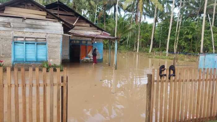 Banjir menerjang 4 kecamatan di Kabupaten Buol, Sulawesi Tengah (Sulteng) usai diguyur hujan dengan intensitas tinggi hingga Sungai Buol meluap.