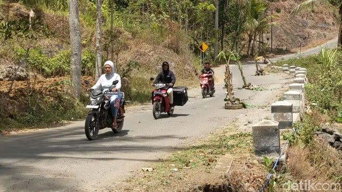 Jalan rusak di Trenggalek ditanami pisang