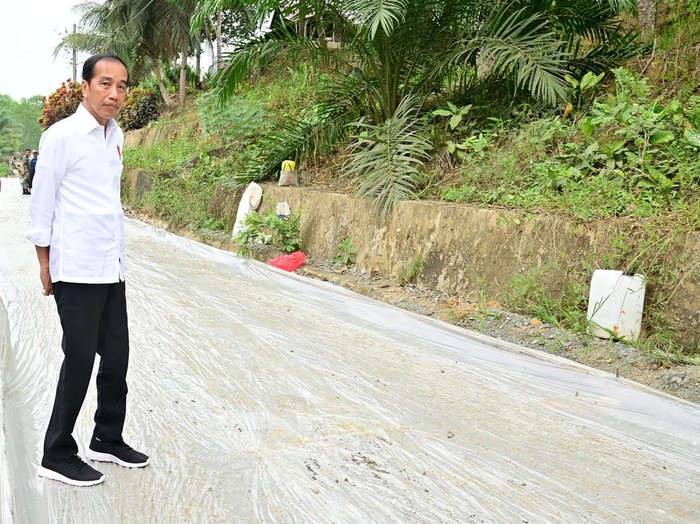 Jokowi Tinjau Jalan di IKN