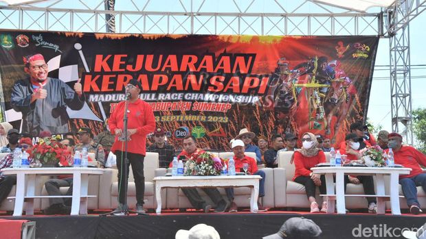 Karapan sapi sumenep