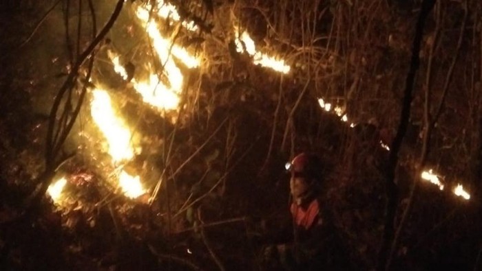 Kebakaran lahan hutan di Desa Banyuripan, Kecamatan Bayat, Klaten.