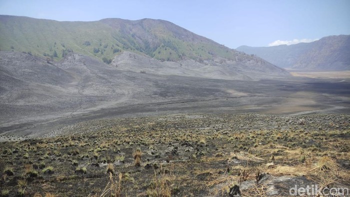 Menteri LHK memantau kawasan Bromo usai kebakaran Menteri LHK memantau kawasan Bromo usai kebakaran