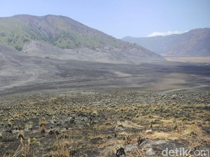 Kebakaran Bromo Bikin Negara Rugi Rp 89 M, Pelaku Terancam Denda Rp 1,5 M