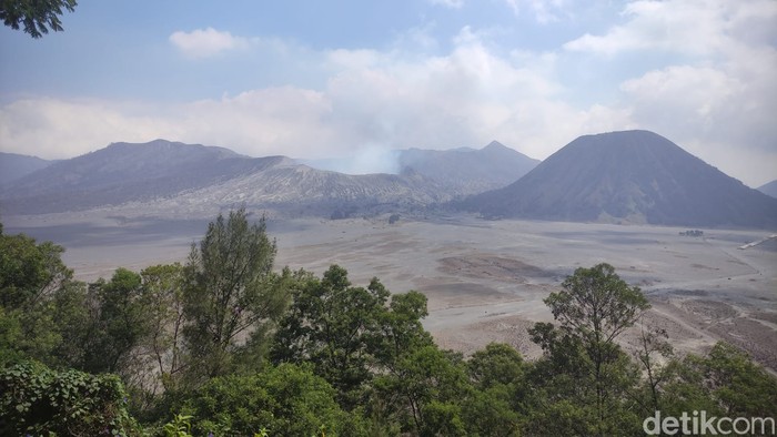 Menteri LHK memantau kawasan Bromo usai kebakaran