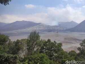 Kerugian Kebakaran Bromo Capai Rp 89 M, Pelaku Terancam Denda Rp 1,5 M
