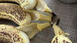 Apes! 10 Netizen Ini Alami Kejadian Mengecewakan Saat Makan