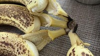 Hendak mengambil sebuah pisang, kesalahan besar dilakukan oleh netizen ini. Pisang yang diinginkan tidak terlepas dari batangnya, melainkan tiga buah pisang lain yang menempel justru terbuka kulitnya. Foto: Bored Panda