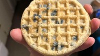 Hendak menyantap waffle kemasan untuk menu sarapan, netizen ini berujung kecewa. Ia baru mengetahui kondisi waffle yang berjamur setelah memanaskannya. Foto: Bored Panda