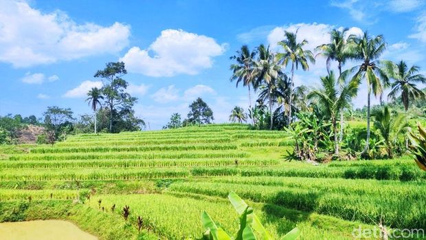 Farmstay Manangel Cianjur