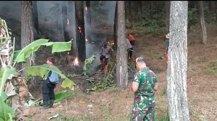 Kebakaran terjadi di Gunung Lawu wilayah Kabupaten Ngawi. Hutan yang terbakar masuk Resort Pemangkuan Hutan (RPH) Manyul, Desa Girimulyo, Kecamatan Jogorogo.