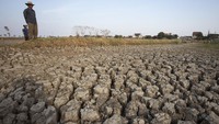 Warga melihat areal lahan tambak ikan yang mengering di desa Pabean Udik, Indramayu, Jawa Barat, Kamis (23/9/2023).