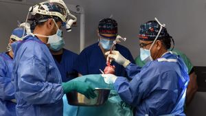 Potret Pria Kedua di Dunia yang Jalani Operasi Transplantasi Jantung Babi