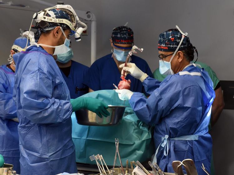 Potret Pria Kedua di Dunia yang Jalani Operasi Transplantasi Jantung Babi
