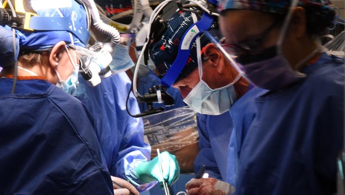 Alasan Pria AS Jalani Cangkok Jantung Babi: Ditolak Program Donor Manusia