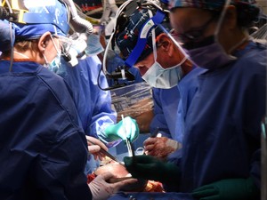 Alasan Pria AS Jalani Cangkok Jantung Babi: Ditolak Program Donor Manusia