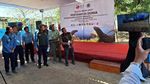 Potret Pelepasliaran 6 Komodo Taman Safari Bogor di Labuan Bajo
