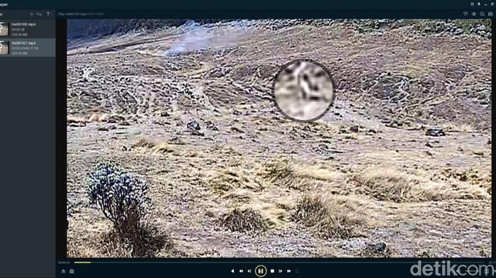 CCTV Kebakaran Gunung Gede Pangrango