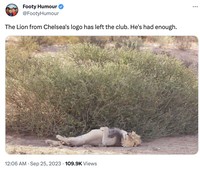 Meme Chelsea
