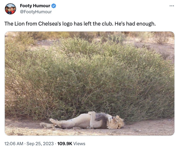 Meme Chelsea