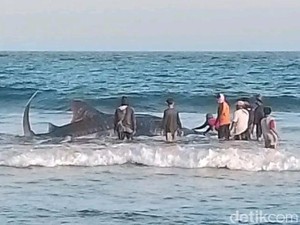 Mitos Kemunculan Naga Bentang di Pesisir Pangandaran
