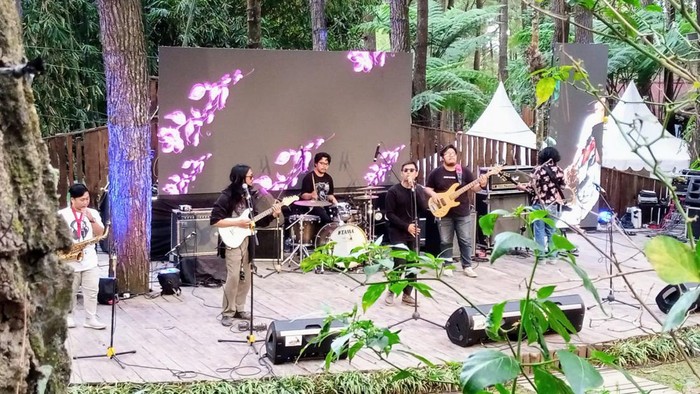 Java Blues and Roots Music Festival 2023