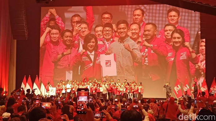 Kaesang jadi Ketum PSI. (Adrial/detikcom)