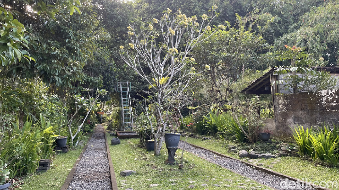 Karang Memadu di Desa Penglipuran