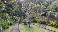 Dengan sanksi yang begitu keras, tampaknya warga Desa Penglipuran tak ada yang berani untuk berpoligami dan tetap menjaga kesetiaannya. Hal ini terbukti hingga saat ini masih belum ada bangunan di Karang Memadu alias belum ada yang berpoligami.  