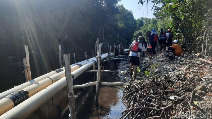 Kondisi saluran pipa tambak udang yang dibuang ke laut Karimunjawa, Senin (25/9/2023).