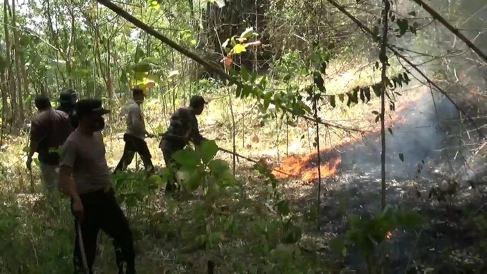 kebakaran hutan di Gunung Budeg, Kecamatan Campurdara Tulungagung