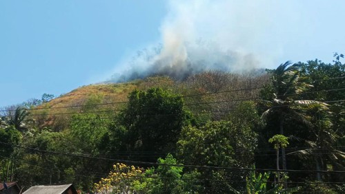 Kebakaran yang terjadi di Bukit Kelindang, Desa Kertamandala, Kecamatan Abang, Kabupaten Karangasem pada Senin (25/9/2023). (istimewa)