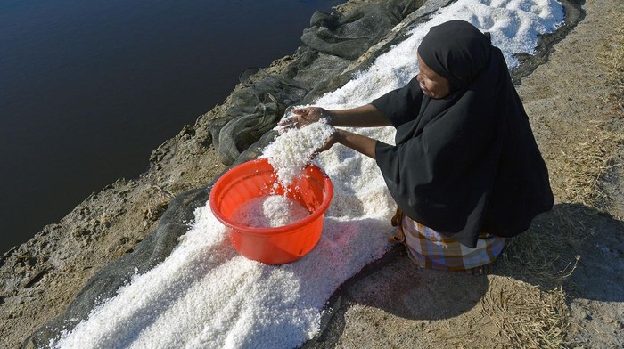Kemarau Panjang Bikin Warga Maros Ubah Tambak Ikan Jadi Tambak Garam Petani memanen garam di Dusun Sabanga, Desa Bonto Bahari, Kabupaten Maros, Sulawesi Selatan, Sabtu (23/9/2023). Sejumlah warga di daerah tersebut mengaku terpaksa mengalihfungsikan tambak ikannya menjadi tambak garam karena musim kemarau yang panjang mengakibatkan debit air di tambak berkurang dan tingginya suhu air saat kemarau. ANTARA FOTO/Hasrul Said/YU/aww.