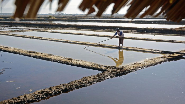 Kemarau Panjang Bikin Warga Maros Ubah Tambak Ikan Jadi Tambak Garam Petani memanen garam di Dusun Sabanga, Desa Bonto Bahari, Kabupaten Maros, Sulawesi Selatan, Sabtu (23/9/2023). Sejumlah warga di daerah tersebut mengaku terpaksa mengalihfungsikan tambak ikannya menjadi tambak garam karena musim kemarau yang panjang mengakibatkan debit air di tambak berkurang dan tingginya suhu air saat kemarau. ANTARA FOTO/Hasrul Said/YU/aww.