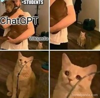 Meme ChatGPT
